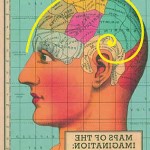 brain